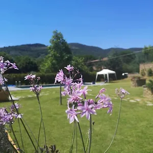 Couette-café Alba Morus Bed E Breakfast Sentiti A Casa Nel Cuore Della Toscana, Arezzo